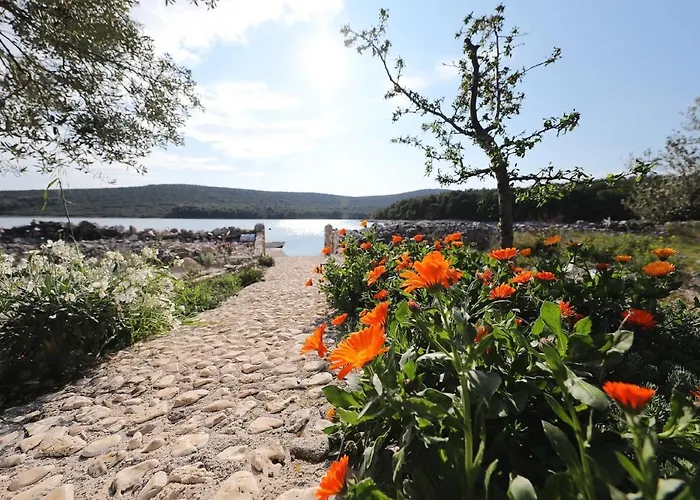 House Tony بيت للعطل تكون